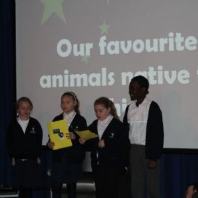 Buzzards Class Assembly